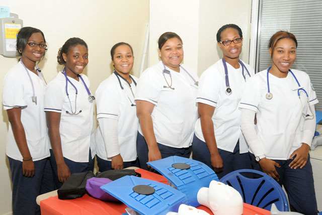 Illinois In Nursing Program