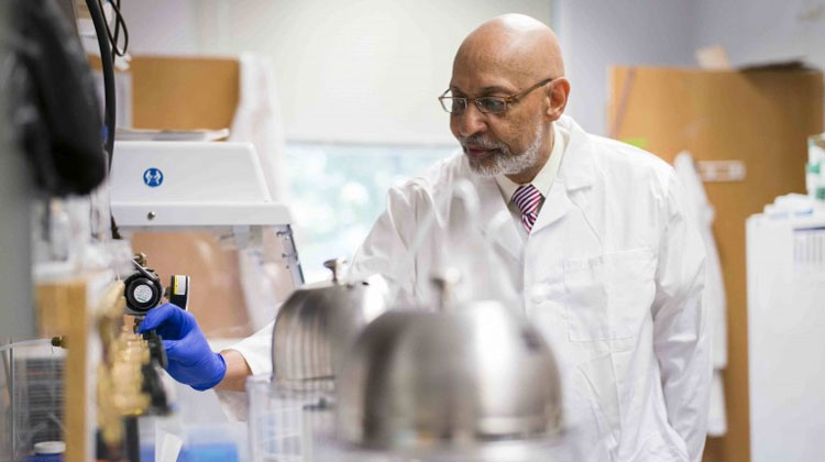 FAMU School of the Environment Professor Henry Neal Williams, Ph.D., is one of the many researchers contributing to the success of the University’s research program. Williams is globally recognized as one of the foremost experts on the ecology of bacterial predators.
